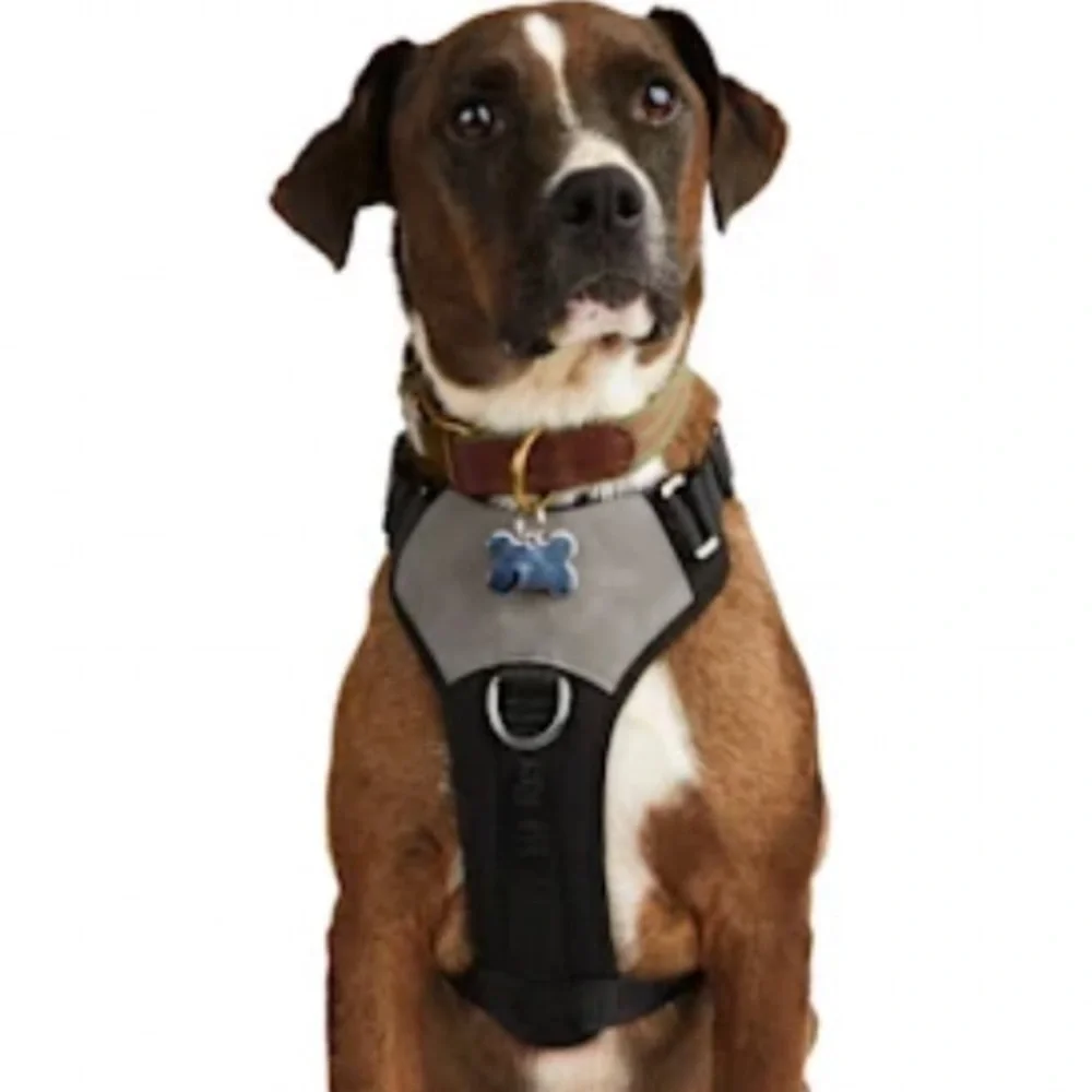 NWT Reddy Jacquard Dog Harness M